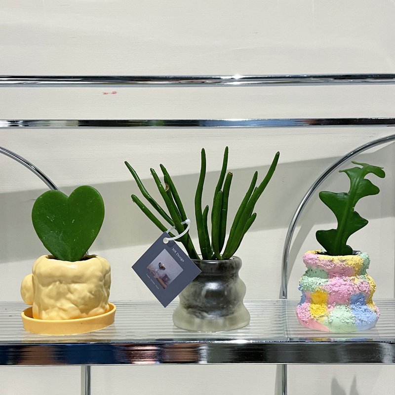彩繪花器 + 植栽組盆 DIY手作體驗課程 / 國父紀念館站 - 植栽/花藝 - 精油 