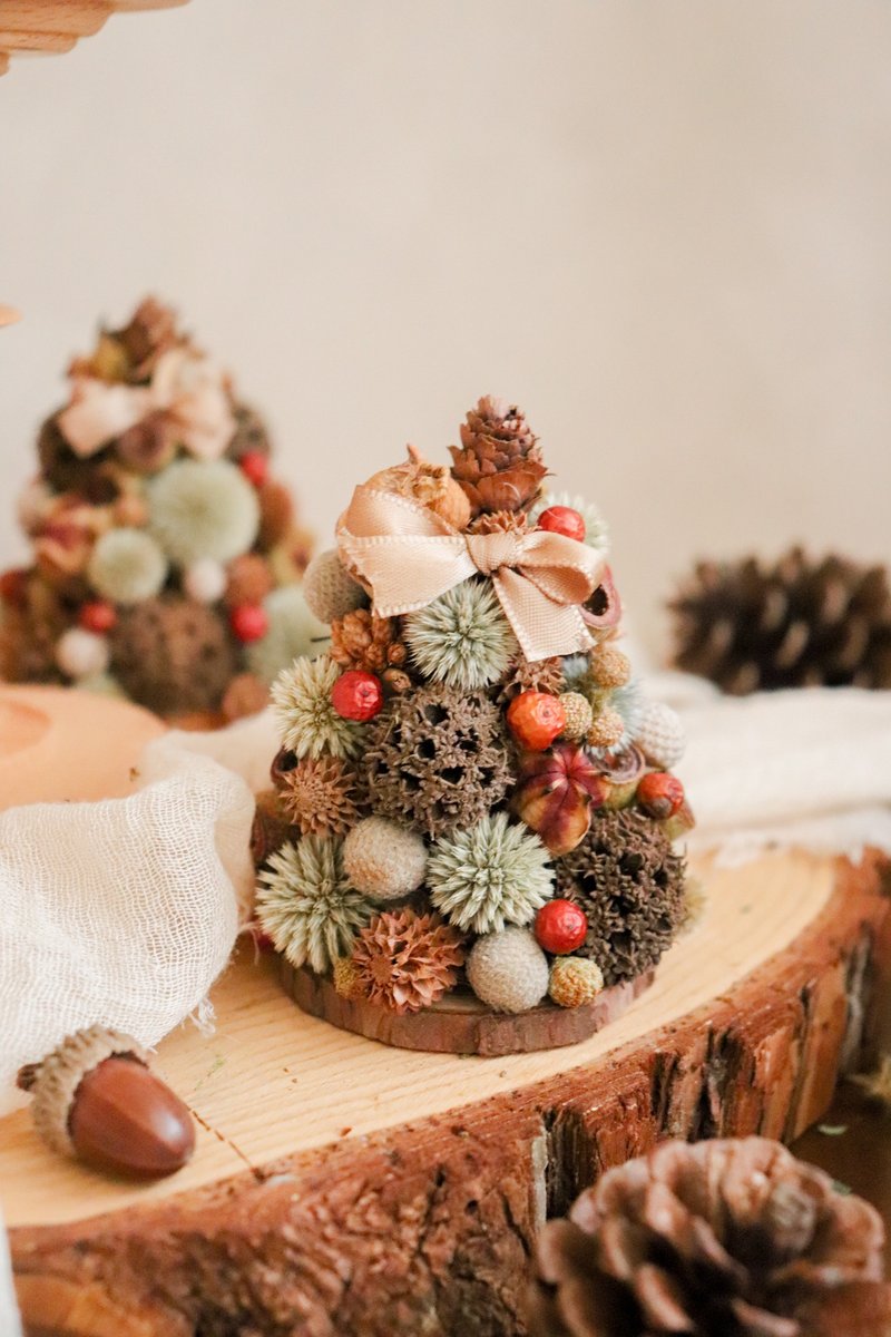 - Handmade fruit forest Christmas tree - Dried flower and fruit Christmas ornaments Christmas exchange gifts - ของวางตกแต่ง - พืช/ดอกไม้ สีนำ้ตาล