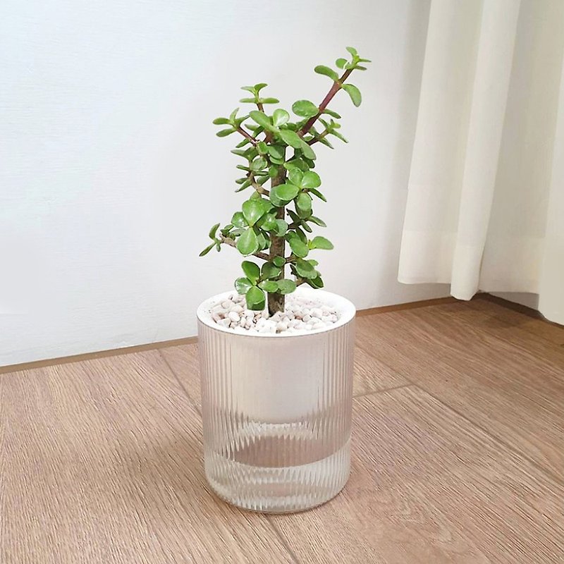 Ginkgo wood unprinted style lazy potted plant - ตกแต่งต้นไม้ - พลาสติก สีเขียว