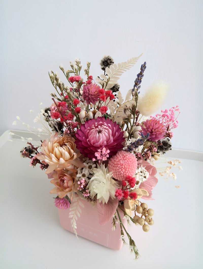 Mansen state dry potted flowers/home decoration/gift/custom - ช่อดอกไม้แห้ง - พืช/ดอกไม้ สึชมพู