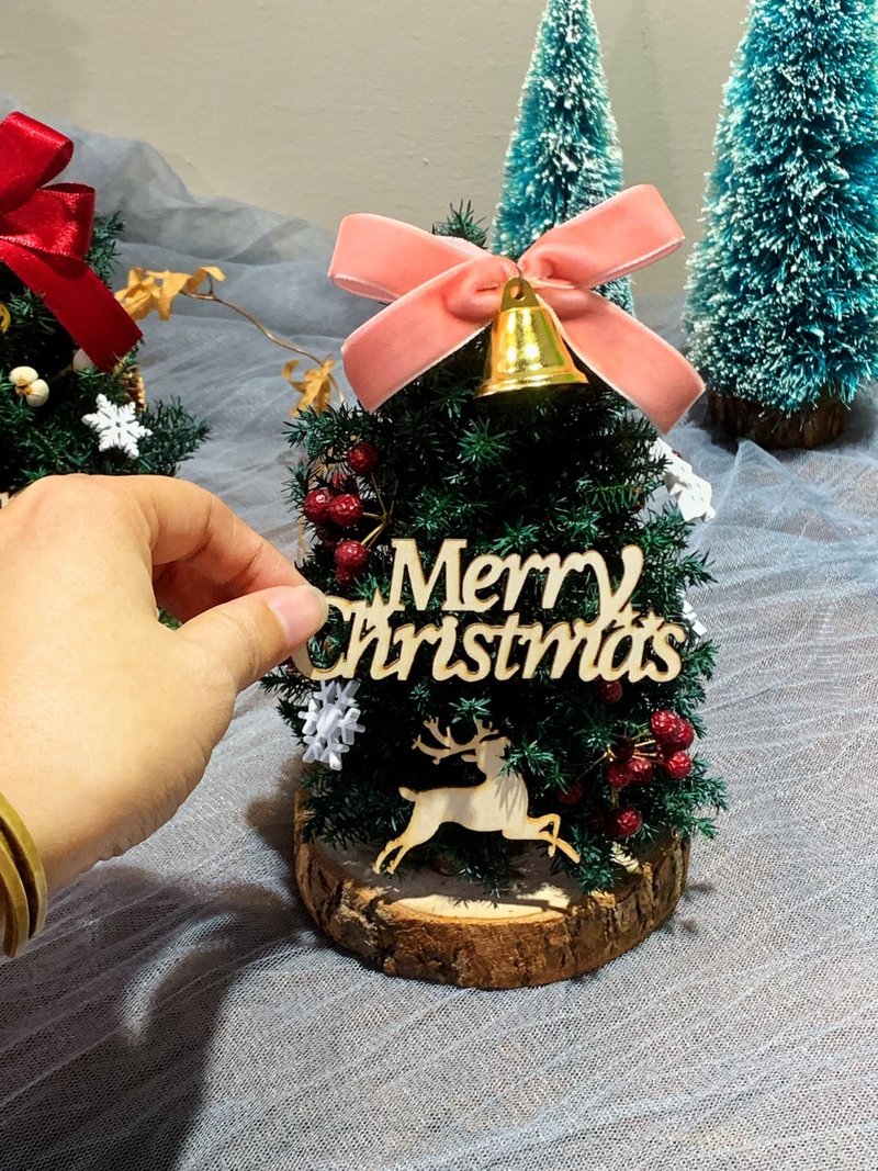 雪松聖誕樹.聖誕禮物.DIY.材料包.果實.樹 - 乾燥花/永生花 - 植物．花 綠色