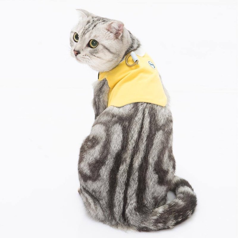 胸背衣 玩色系列POLO衫 Orange Blinks 黃色款 XS/S/M/L (XS完售) - 寵物衣服 - 棉．麻 
