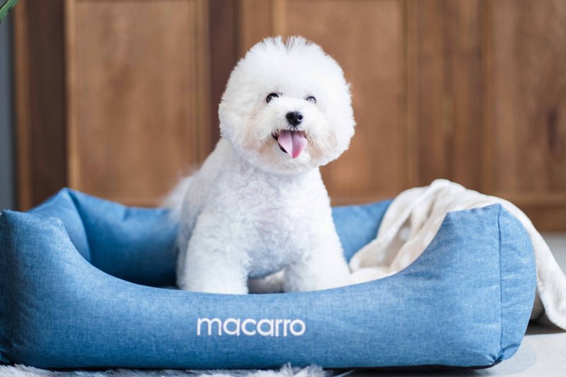 macarro pet latex bed cotton and Linen fabric denim blue - Bedding & Cages - Latex Blue