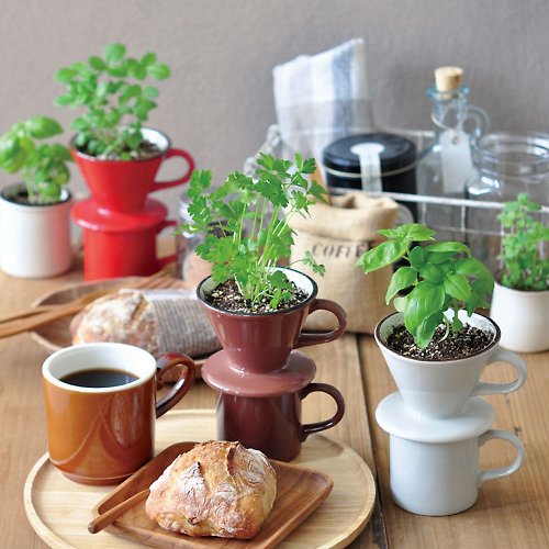 聖新陶芸 SEISHIN Verde Cafe - Mug&dripper 造型植栽培 / 咖啡濾壺 (三款)