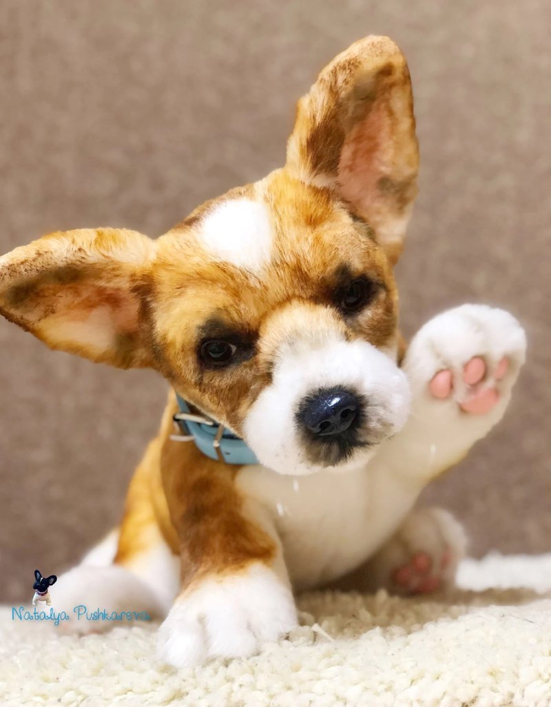 威尔士柯基犬彭布罗克小狗/狗逼真的玩具 - 公仔/玩偶 - 聚酯纖維 白色