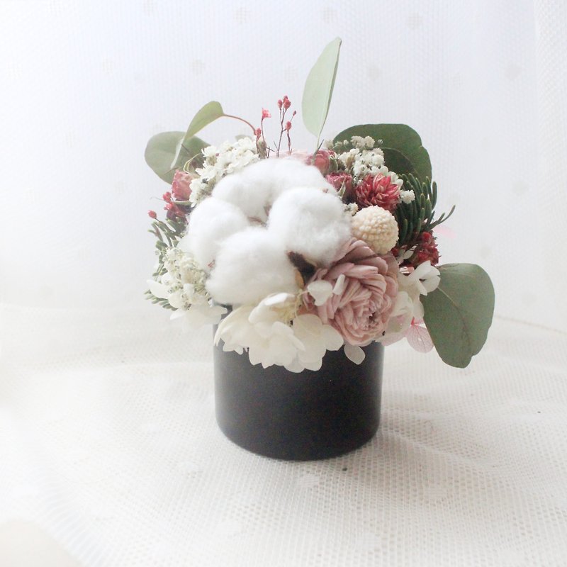 Dawning Green Table Flower, White Cotton and Sun Rose Dry Flower Gift - Dried Flowers & Bouquets - Plants & Flowers Green