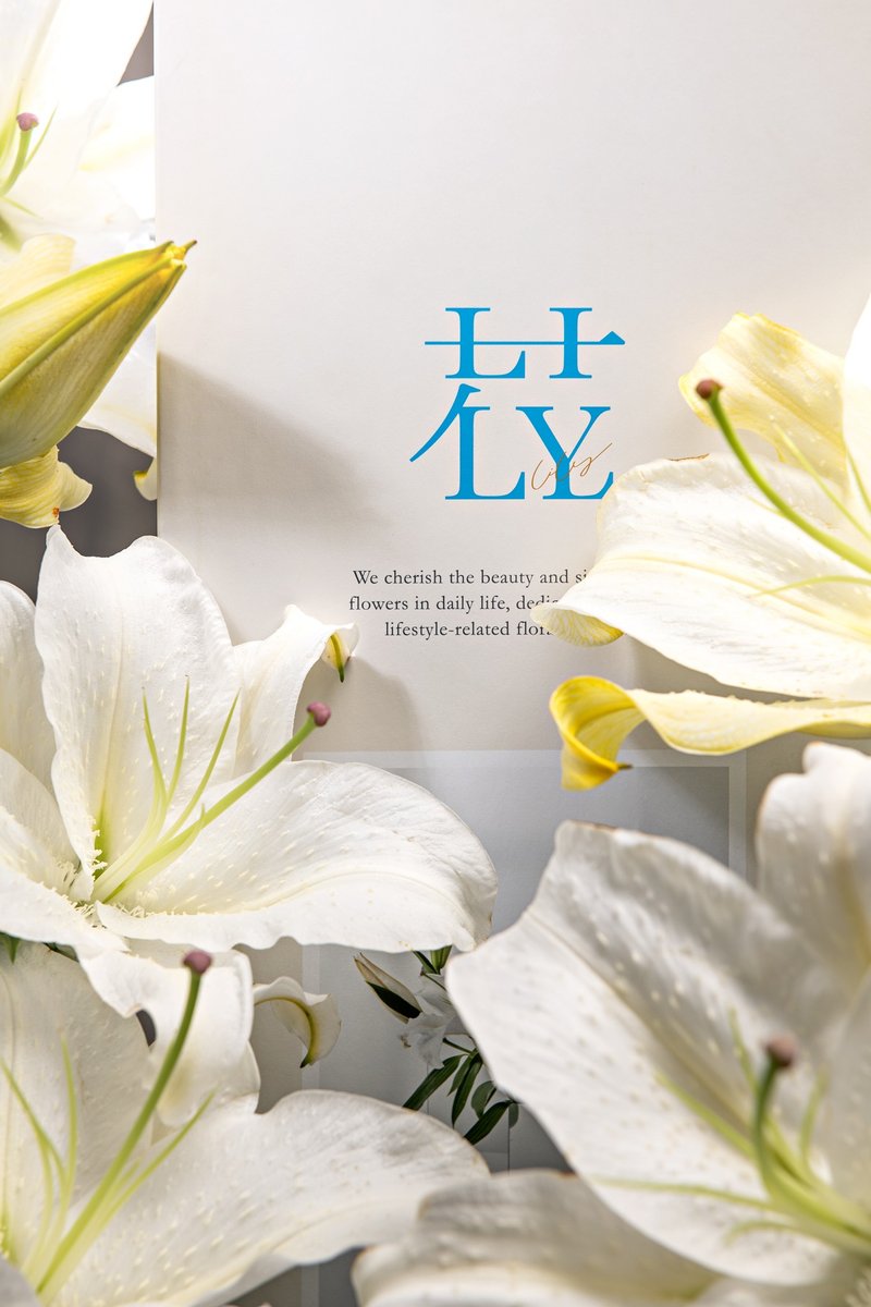 [Pre-order product] Double lily series B. buds - Plants - Plants & Flowers 