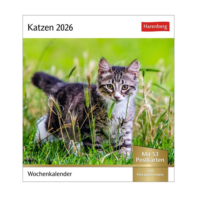 【遇見 53 個貓朋友】2026桌曆×明信片 - 日曆/月曆/年曆 - 紙 多色