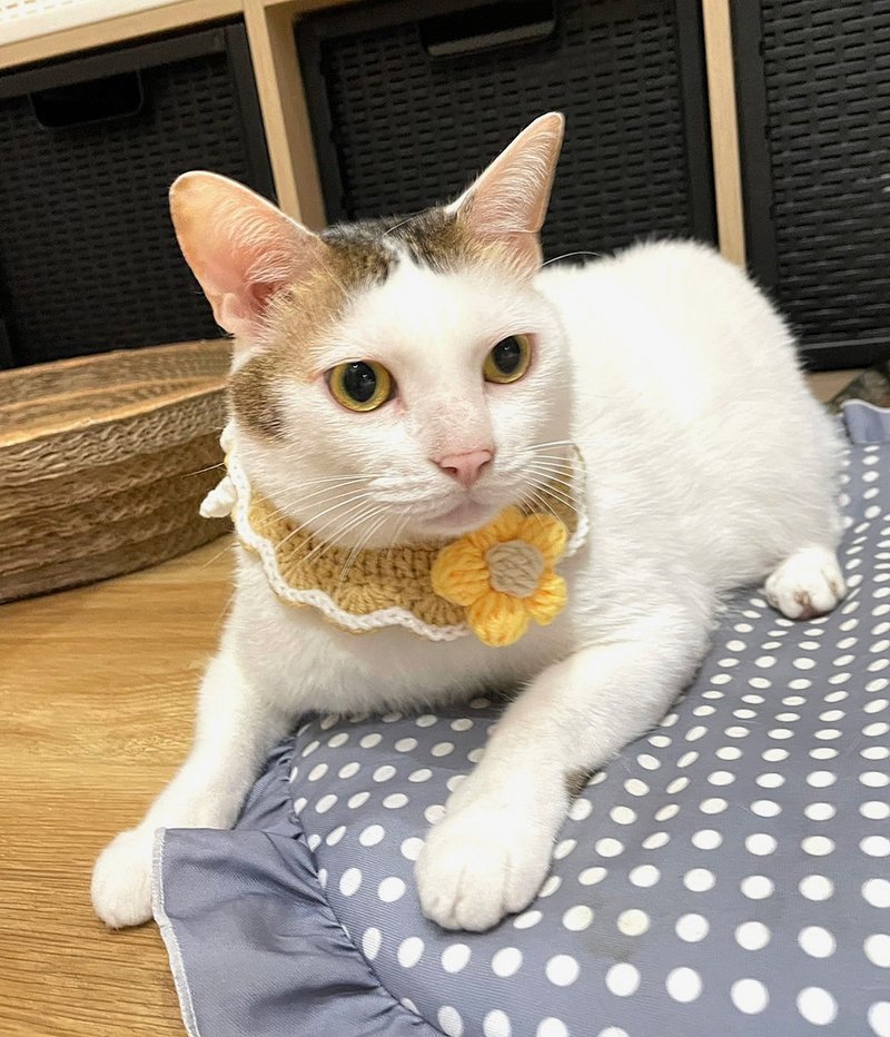 【Pet Collar】寵物頸圈 圍兜 領巾 *可愛 拍照小物* - 寵物衣服 - 棉．麻 多色