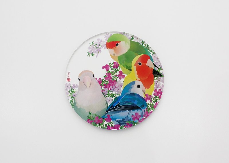 Acrylic coaster, cockatiel - ที่รองแก้ว - อะคริลิค สีใส