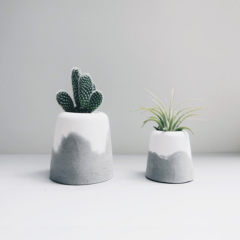 SNOW VOLCAN | Succulent/cactus/pineapple Cement potted plants (including plants) - Plants - Plants & Flowers Gray