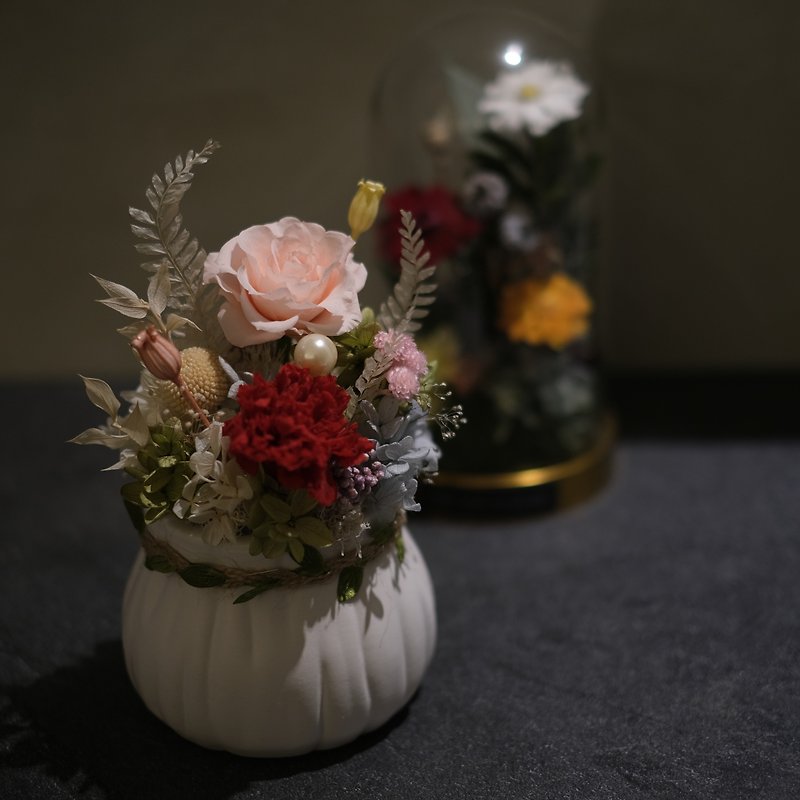 【母の日 プリザーブド鉢花】日本から輸入したプリザーブドフラワー - ドライフラワー・ブーケ - 寄せ植え・花 
