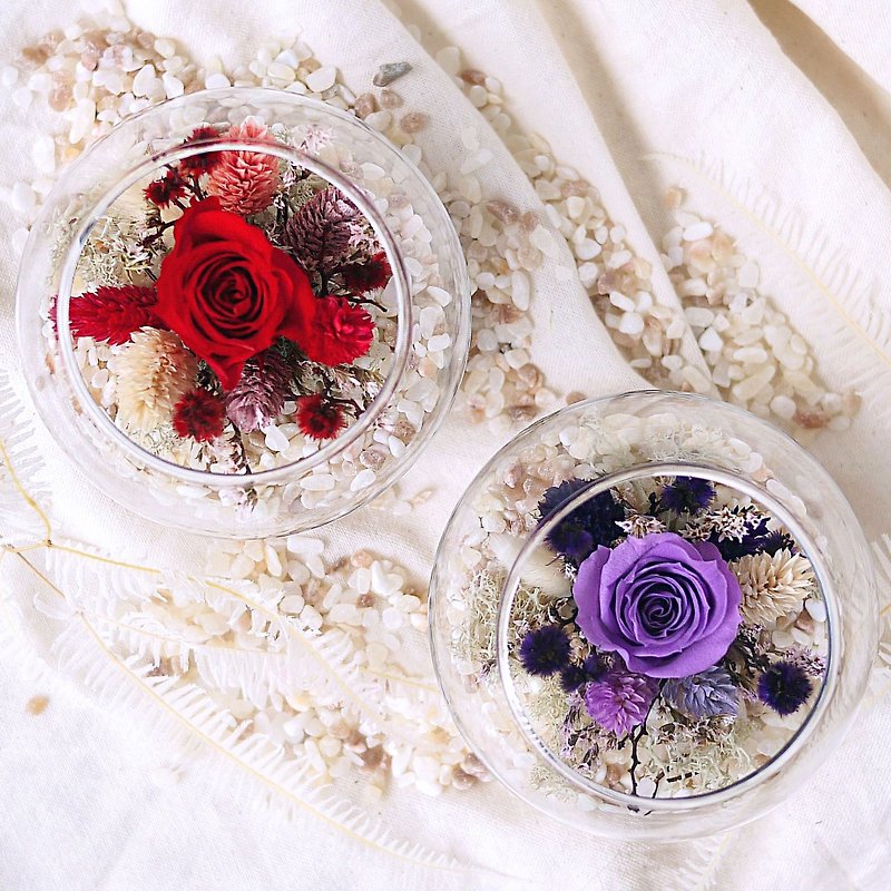 Eternal Star - not dried flower withered roses ball glass (purple Kaoru Dream / Ruby Crown) immortalized star flower - ตกแต่งต้นไม้ - พืช/ดอกไม้ 