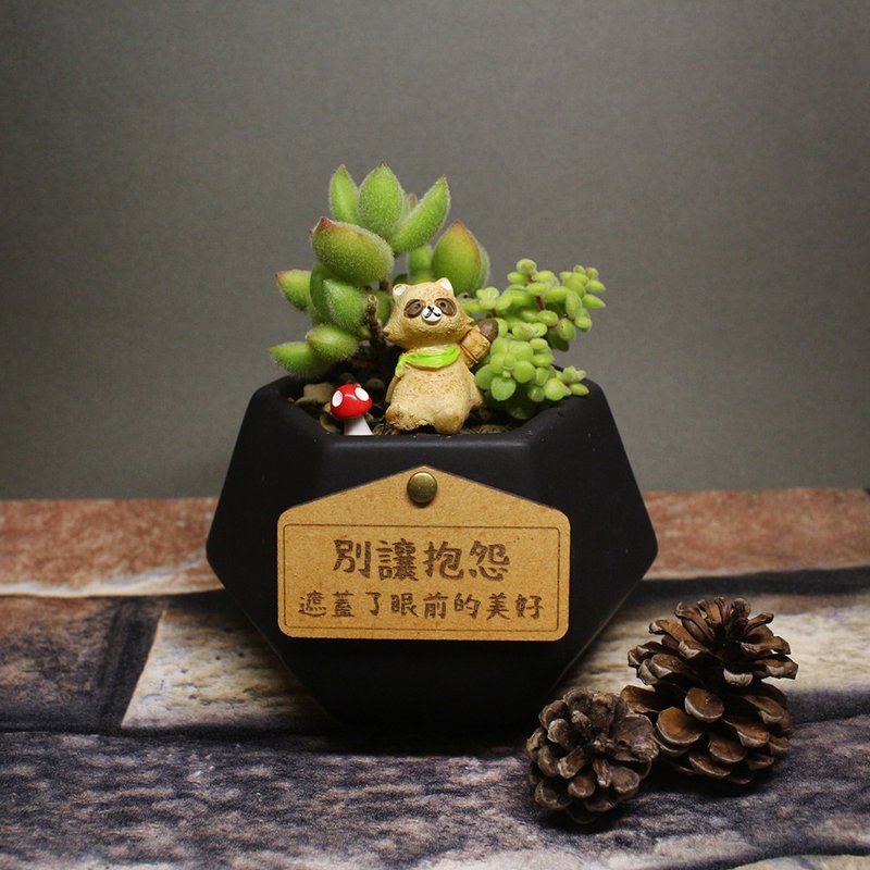 【多肉黑鑽瓷盆-子貓之爪】盆栽/植栽/生日/刻字(附字牌) - 盆栽/植栽 - 瓷 綠色
