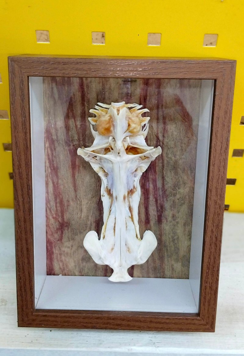 耶蘇的十字架-海漂海廢創作 - 海報/掛畫/掛布 - 其他材質 