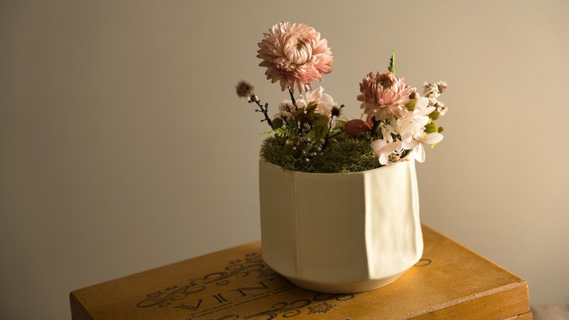 Everyday Blooms: The Language of Flowers Collection - Pink Strawflower Pot - ช่อดอกไม้แห้ง - พืช/ดอกไม้ สึชมพู