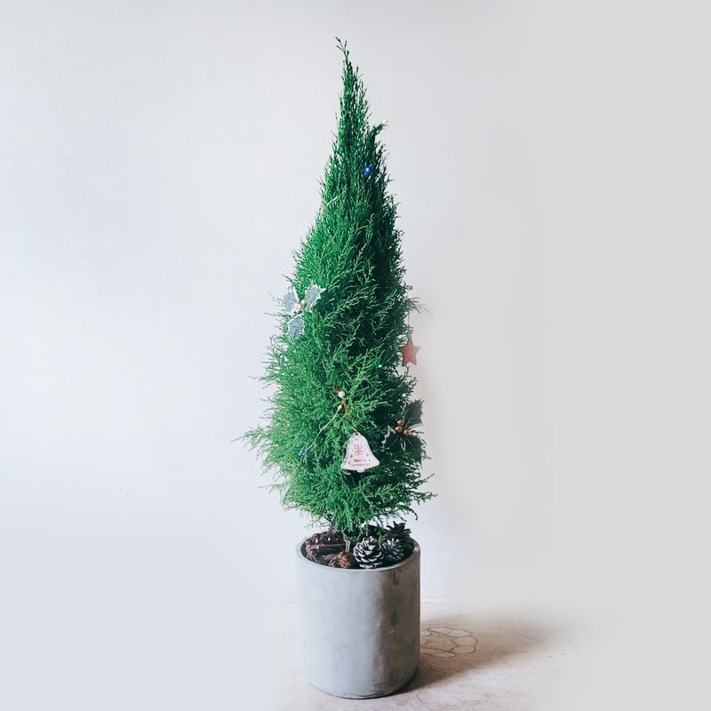 Beautiful European style floor-to-ceiling Christmas tree - Plants - Plants & Flowers 