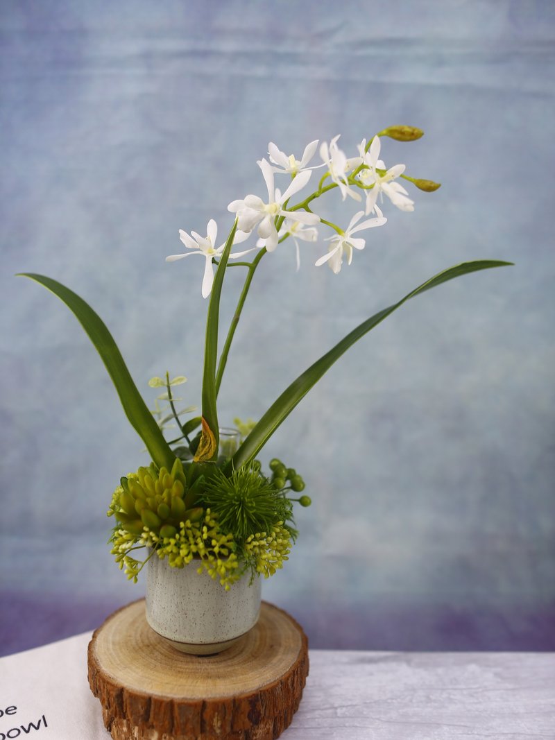 白色小蘭花日式陶盆香氛花禮/入厝禮/開幕/喬遷/送禮/植栽 - 盆栽/植栽 - 其他材質 白色