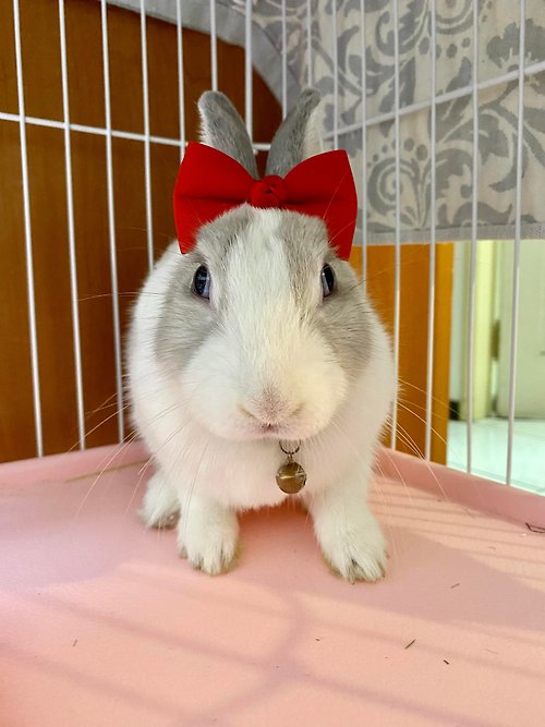 Avondream 手創小舖 Q1-手工寵物生日帽子寵物髮飾頭套兔兔牽繩衣配件兔子 小魔女琪琪