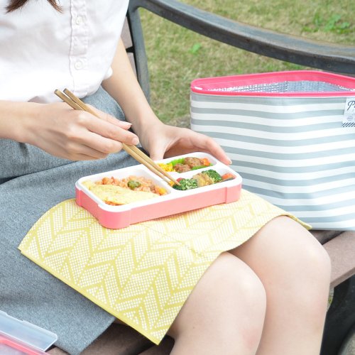 CB Japan Fashion Paris Series Slim Lunch Box 500ml (3 colors available) -  Shop CB Japan Lunch Boxes - Pinkoi