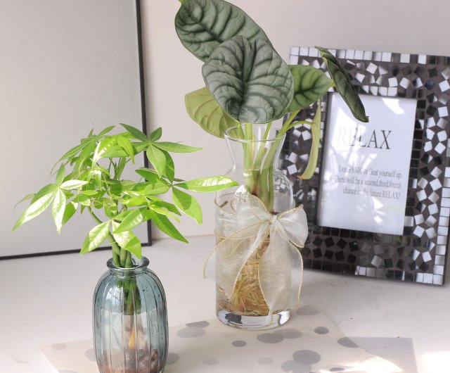 現代の鉄の花瓶水耕植物オフィスの寝室の装飾のための工芸品 リアル - 花瓶、フラワースタンド