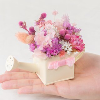 Kinki hand for Chibi Maruko ち び ち ゃ ma ru sub-san cute little healing system pink dried flower small potted plant waterer