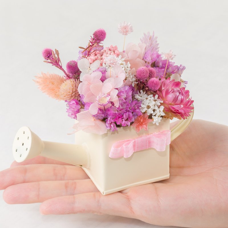 Kinki hand for Chibi Maruko ち び ち ゃ ma ru sub-san cute little healing system pink dried flower small potted plant waterer - ตกแต่งต้นไม้ - พืช/ดอกไม้ สึชมพู