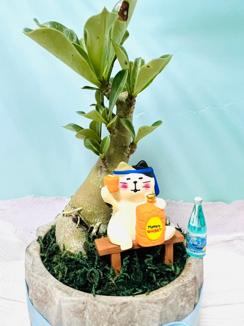 醉美的沙漠玫瑰 塊根多肉植物 造型擺設盆 - 盆栽/植栽 - 塑膠 銀色
