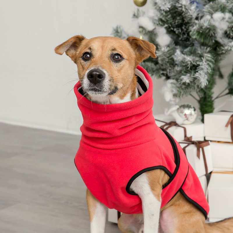 Wangmiao Warm Turtleneck_Red (7L) Warm and Comfortable/Easy to put on and take off/Walk for ease/Keep pets warm - Clothing & Accessories - Other Materials 