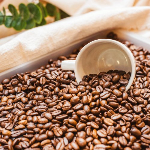 HOFFE COFFEE 【1/4磅 精品咖啡豆-05B】買一送一 莊園咖啡豆 接單烘焙 黑咖啡