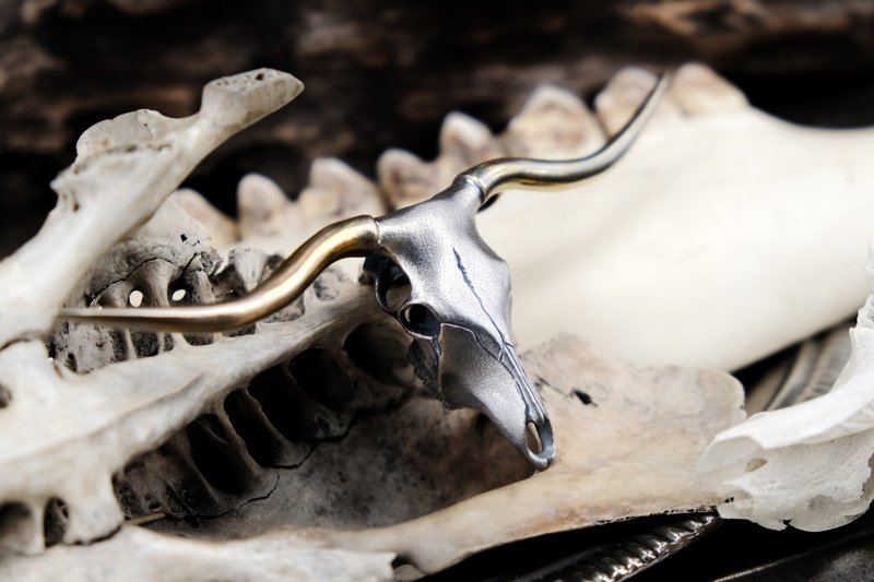 [Mountain Remains Chronicle] Echo of the Call - Texas Longhorn Skull Necklace - Necklaces - Silver Silver