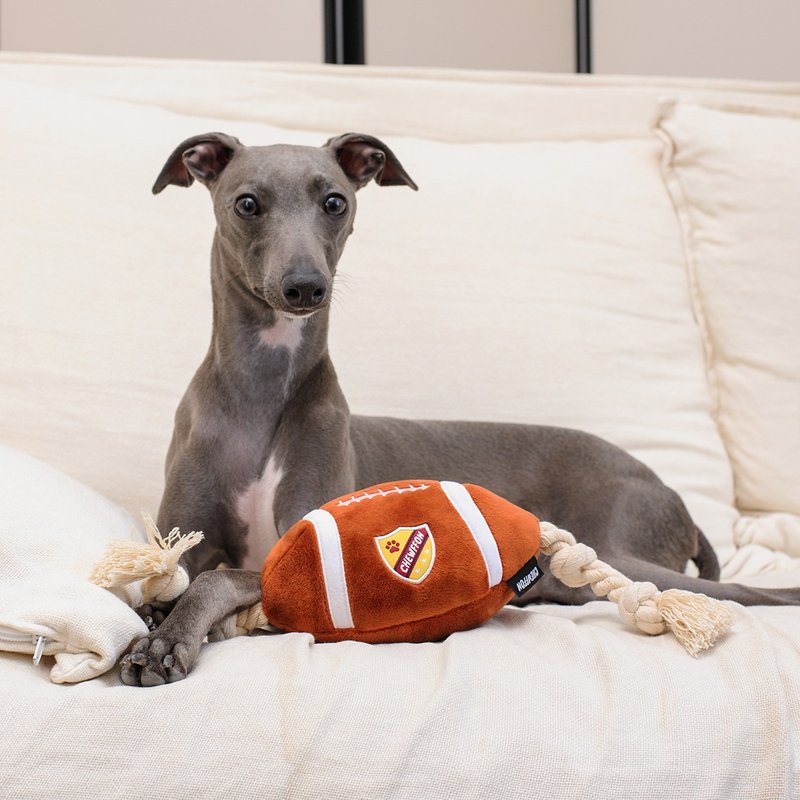 【犬用おもちゃ】CHEWFFON ラグビーロープ - おもちゃ - その他の素材 