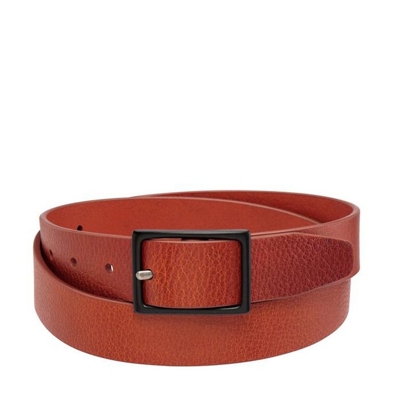 ASSERTION Belt _Tan / Camel - Belts - Genuine Leather Brown