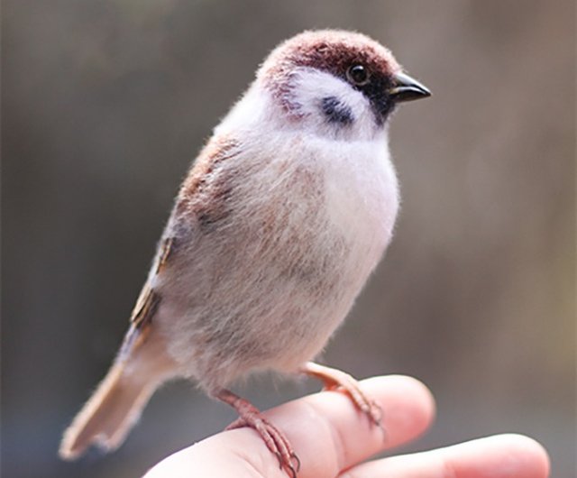 Lifelike bird clearance toy