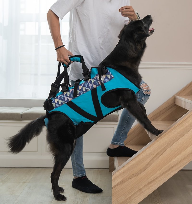 寵物輔助衣  一般款 M號款 高齡犬 行動不便 寵物輔具 協助行走 - 其他 - 其他人造纖維 