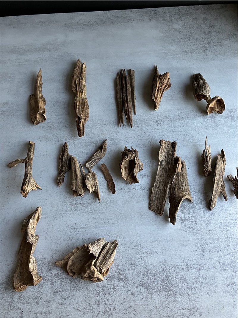 【上爐小料】【Super級】野生達拉幹_樹心油(內可挑造型) - 擺飾/家飾品 - 木頭 