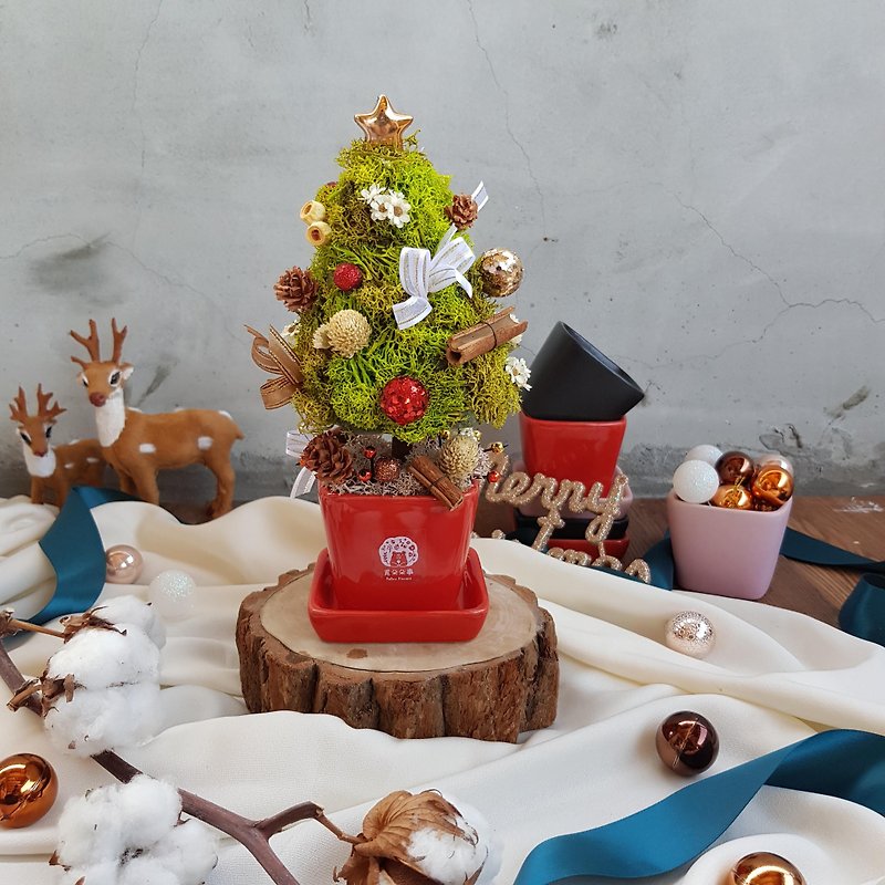 乾燥聖誕樹_現貨樣品 - 擺飾/家飾品 - 植物．花 紅色