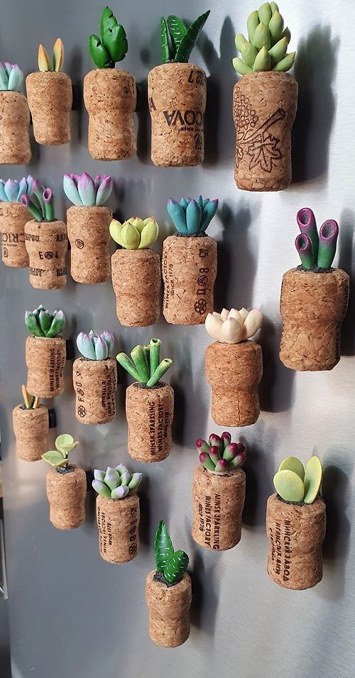 SunnyFlowers Mini succulent magnets for fridge , Eco friendly decor , Favors for baby shower