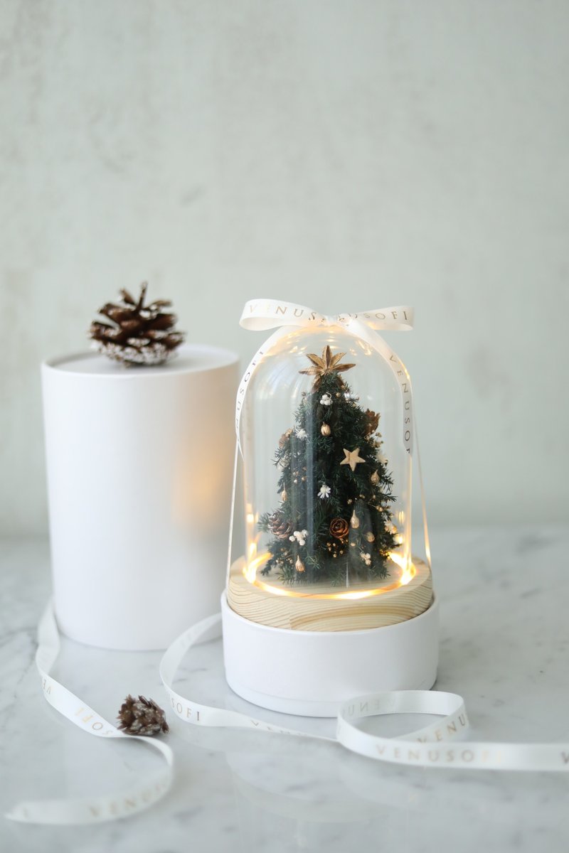 Preserved Cedar Christmas Tree in Glass Dome - ช่อดอกไม้แห้ง - พืช/ดอกไม้ 