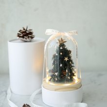 靜謐森林 聖誕樹 聖誕禮物 日本永生松 交換禮物 聖誕裝飾永生花