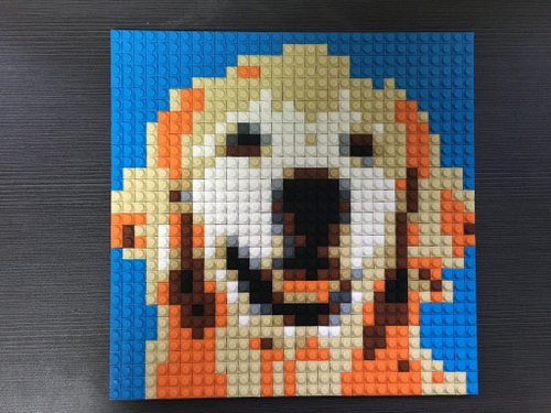 brickaproject 金毛尋回犬積木馬賽克拼圖