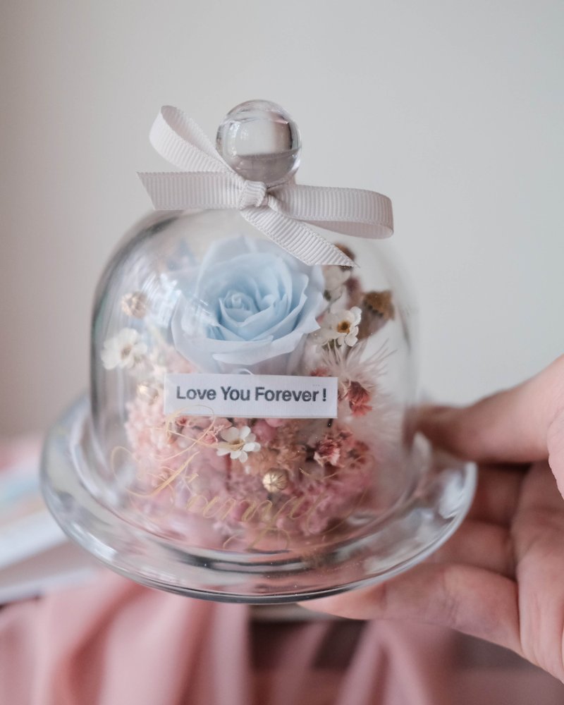 Dried Flowers/Eternal Flower Romantic Sky Glass Cup (Big Cup)/Birthday Gift/Girlfriend - ช่อดอกไม้แห้ง - พืช/ดอกไม้ 