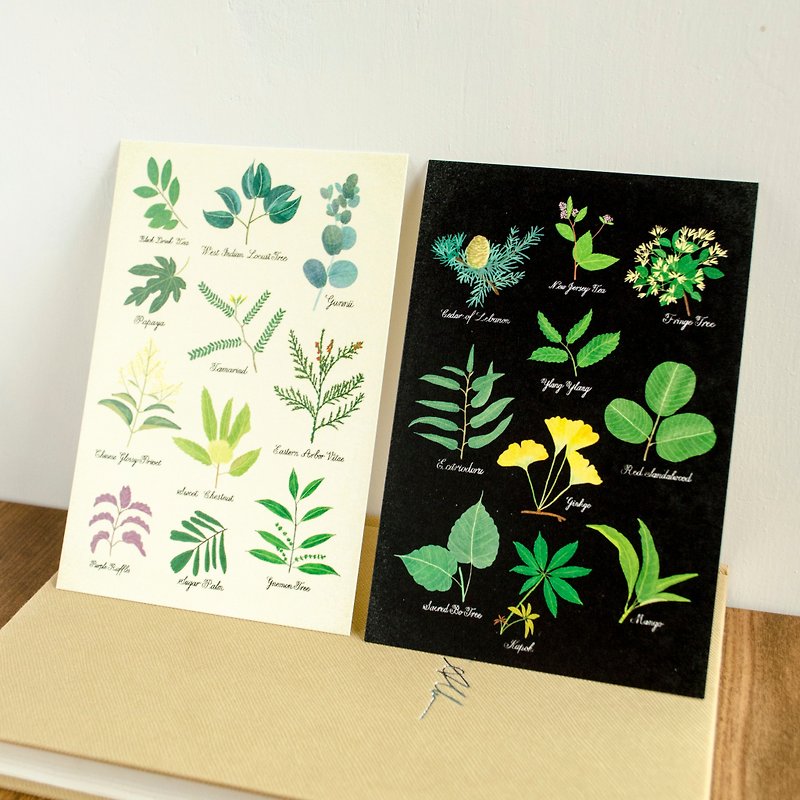 Postcards - leaves shape (2 in) - การ์ด/โปสการ์ด - กระดาษ 