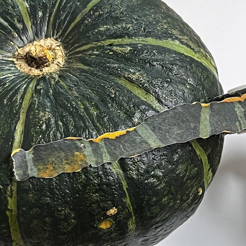 Autumn squash peel - 紙膠帶/和紙/PET - 紙 