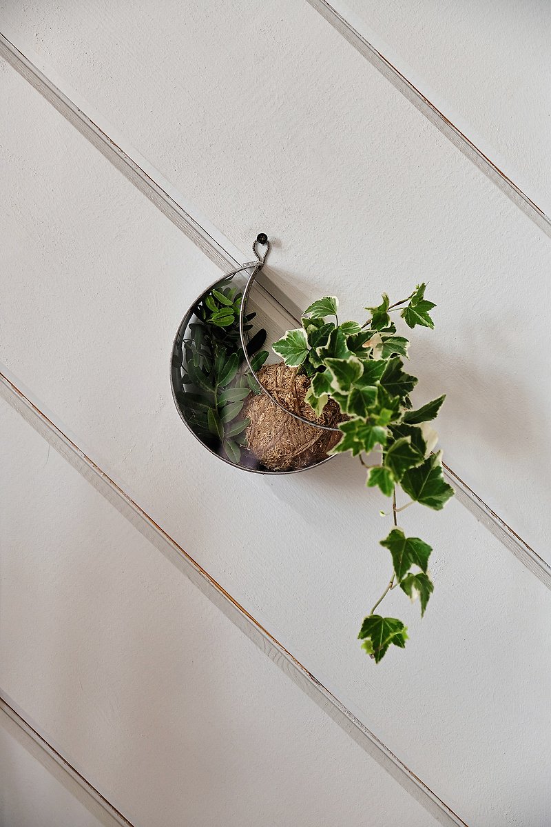 Moon Glass Terrarium / hanging wall planter / air plant holder / moon phase wall - 植物/盆栽/盆景 - 玻璃 銀色