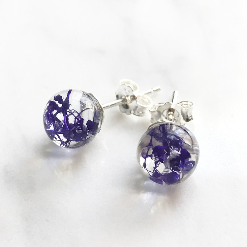 Real flower Dark Blue Gypsophila sphere glass S925 silver earrings - Earrings & Clip-ons - Plants & Flowers Purple