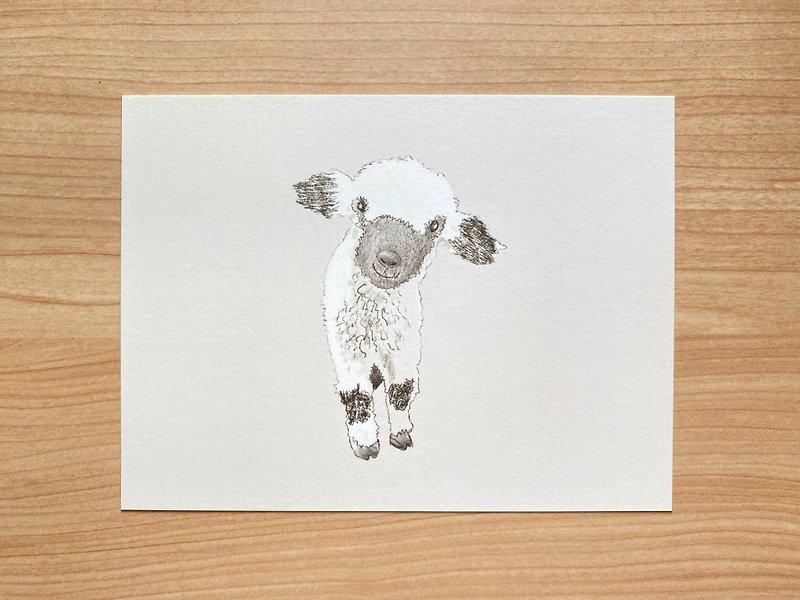 ブラックの羊のポストカード - カード・はがき - 紙 カーキ