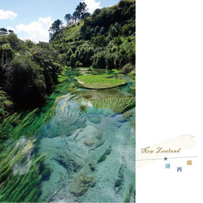 紐西蘭旅行攝影明信片 - 卡片/明信片 - 紙 