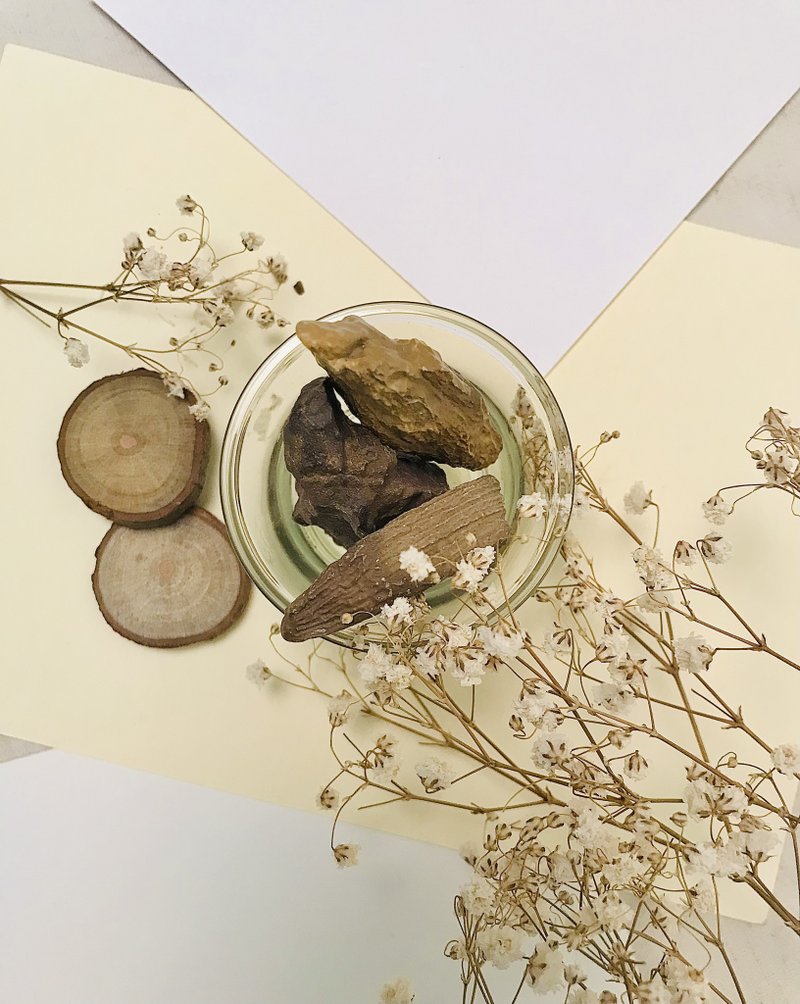 木化石 / 單顆 - 其他 - 石頭 卡其色