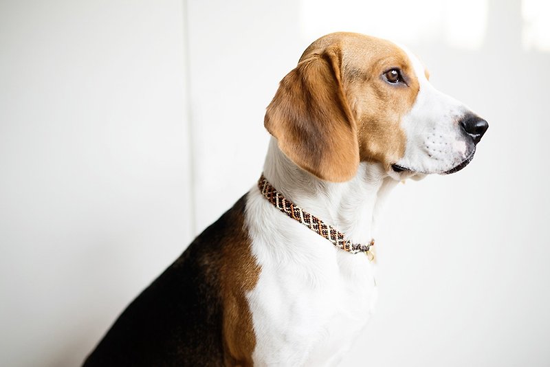 "Breath" / pet / tag brand custom custom dog dog meow mahogany handwritten lettering knitting collar collar collar simple texture - Collars & Leashes - Other Metals 